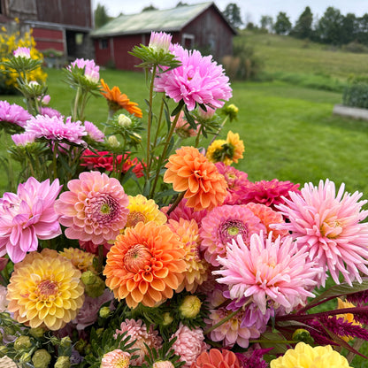 Create your own Flower Garden - Sunday, May 26th