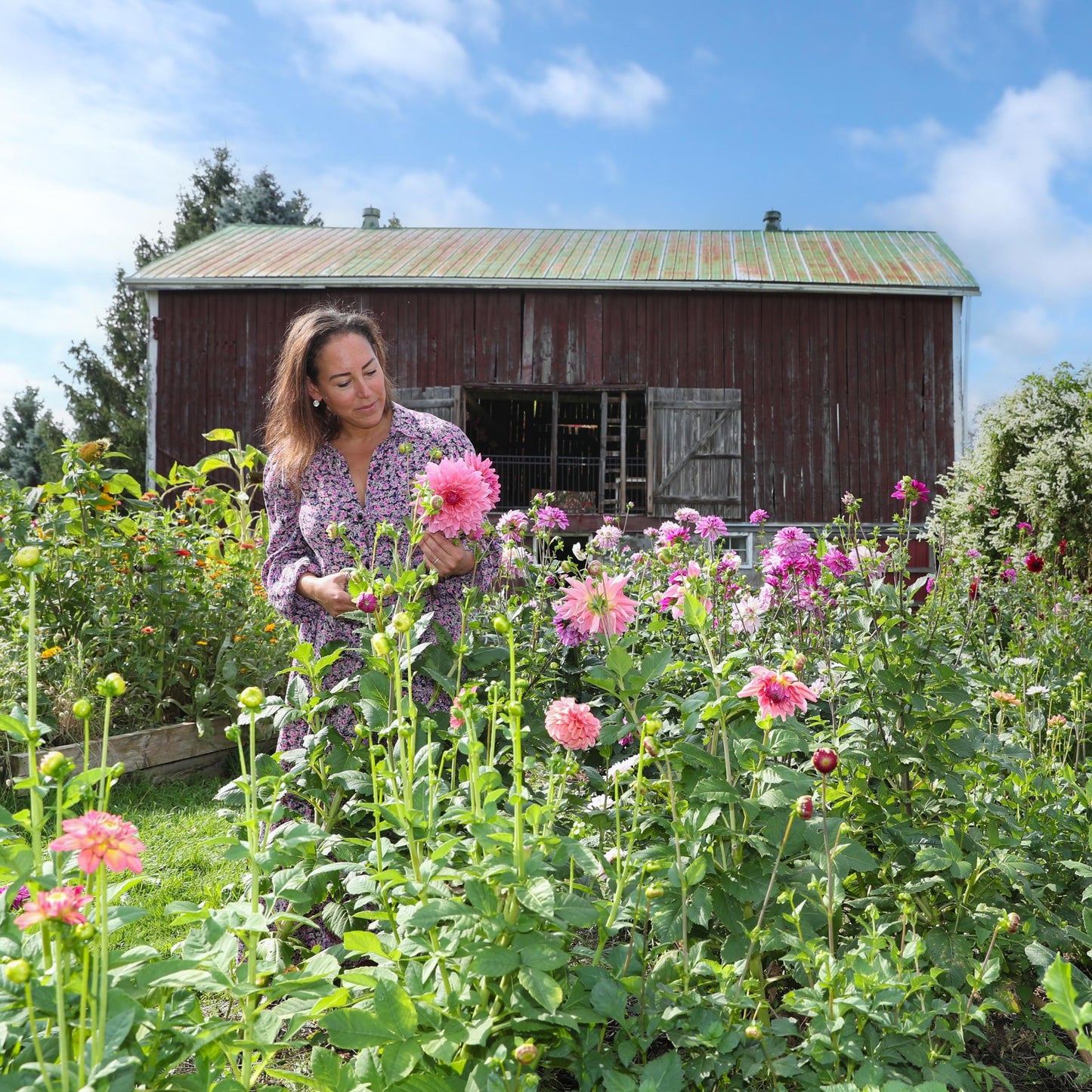 Water Colour Painting with Tonya Cruz - Saturday, September 7th