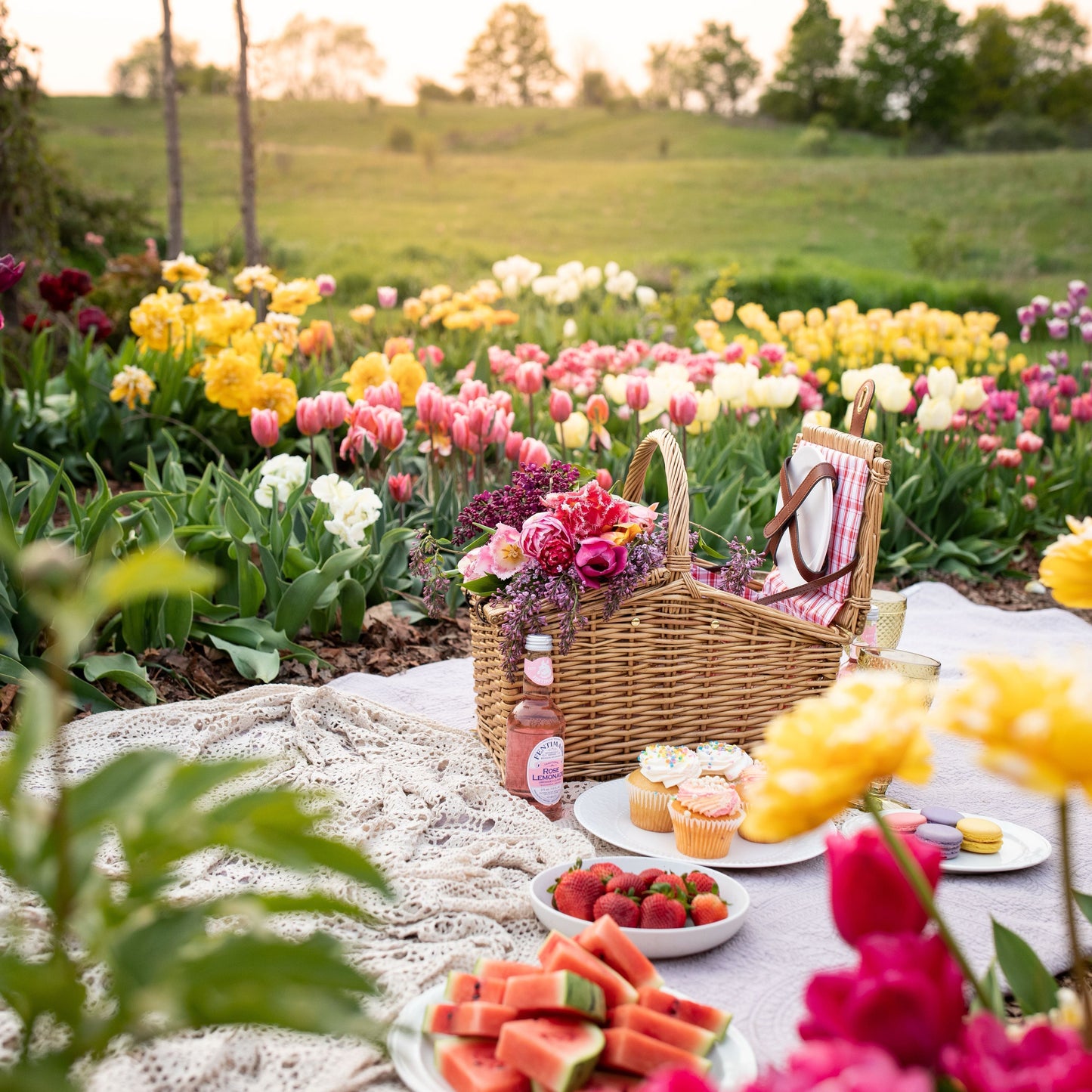 Sunset Picnic - Thursday, August 31st, 6:00pm until 8:30pm