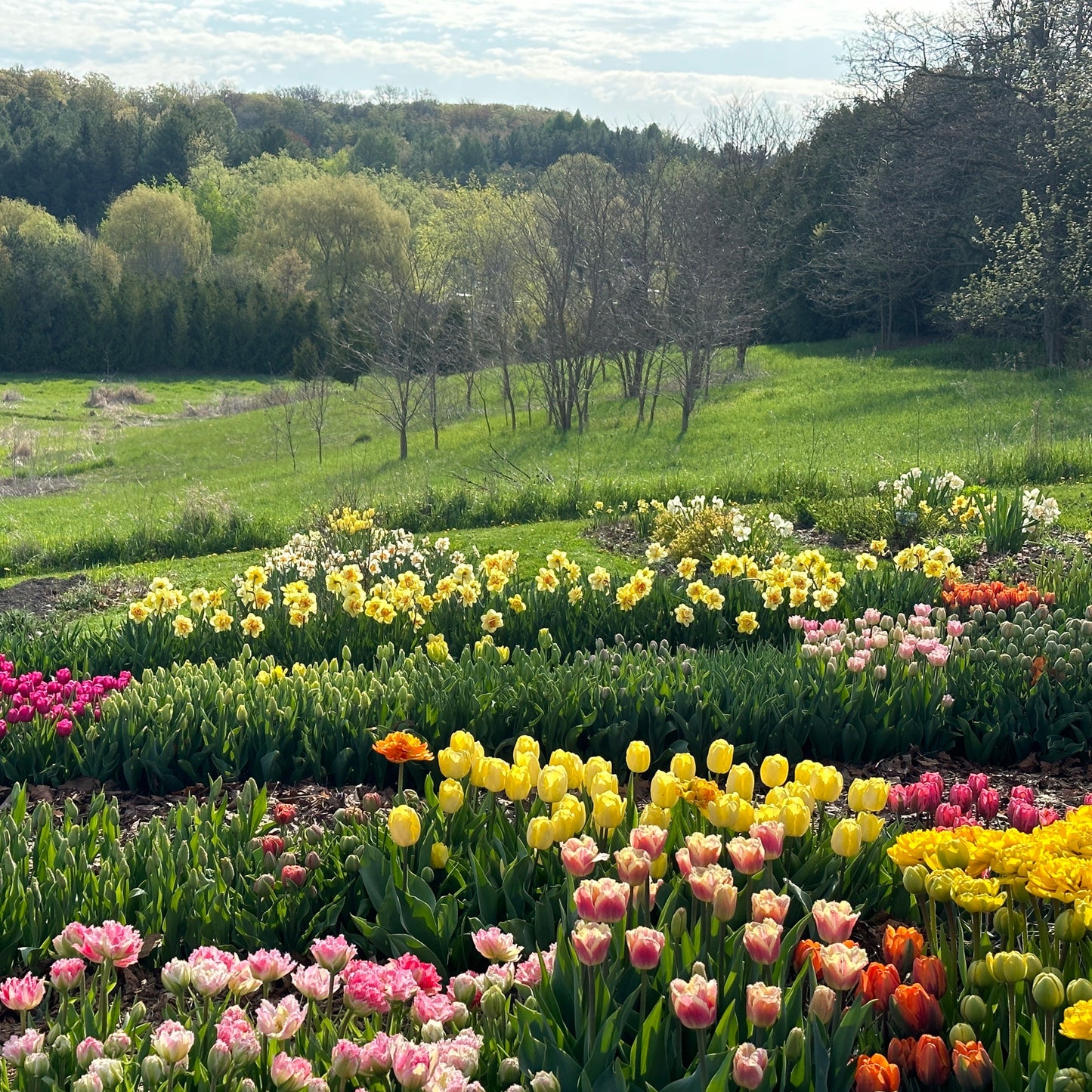 Create your own Flower Garden - Sunday, May 26th