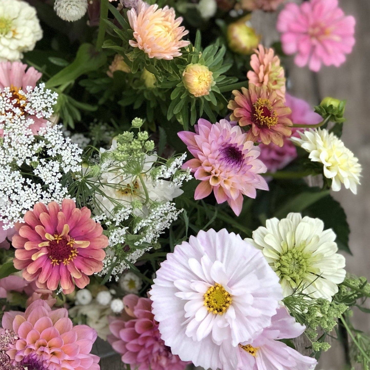 2024 Cut-Your-Own Flowers - 2-buckets