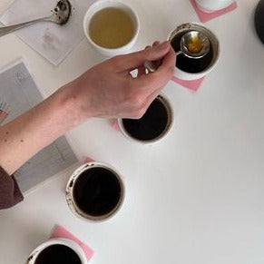 Coffee Tasting Experience - Sunday, August 27th