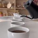 Coffee Tasting Experience - Sunday, August 27th