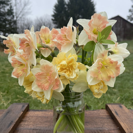Making Your Own Cheerful Bouquet of Daffodils