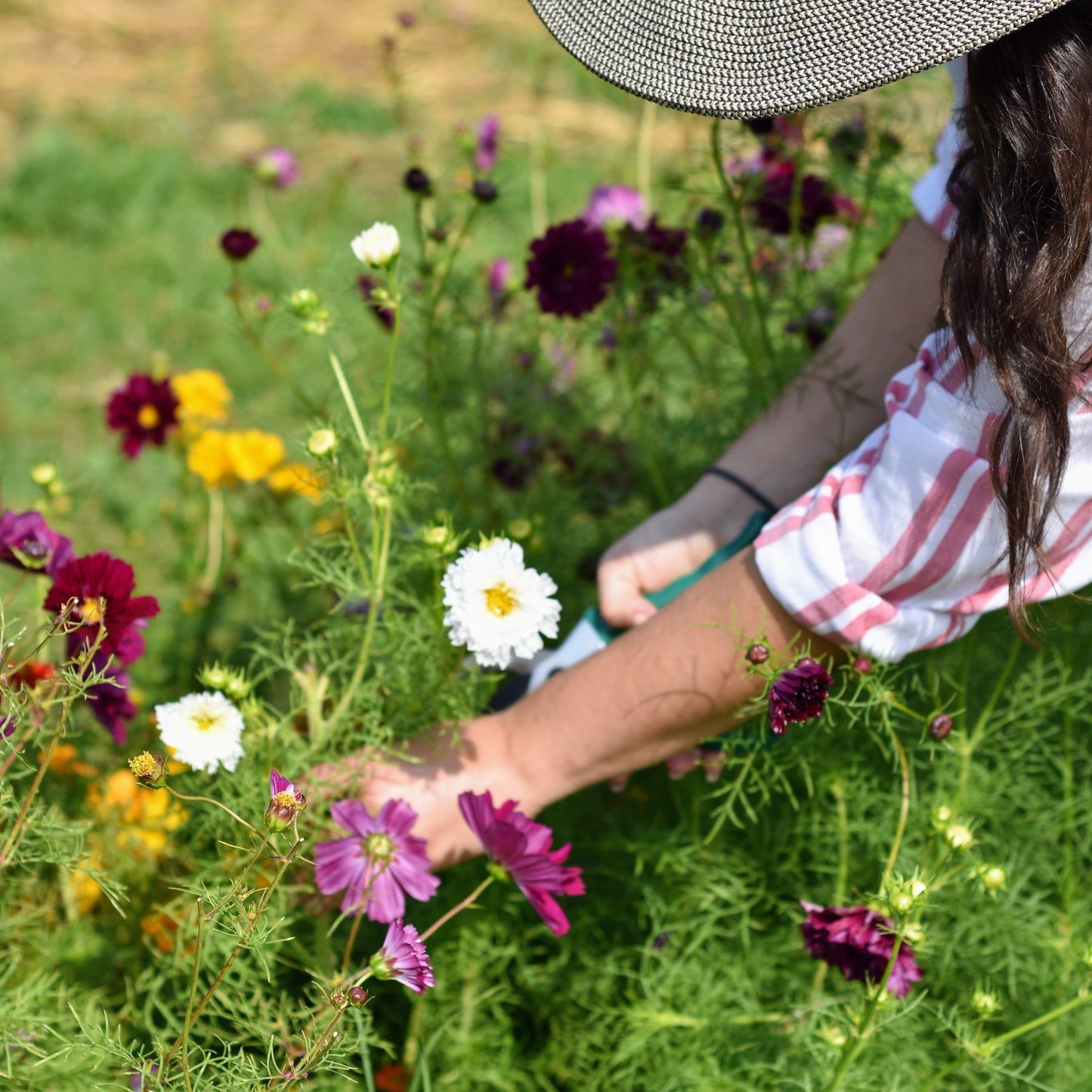 Field to Vase Flower Arranging - August 2nd, 11:00am - 2:00pm