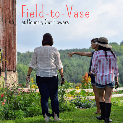 Field to Vase Flower Arranging - August 2nd, 11:00am - 2:00pm