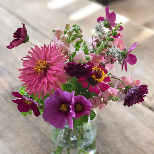 Cut-Your-Own Flowers - 4 Weekday Mason Jars in August